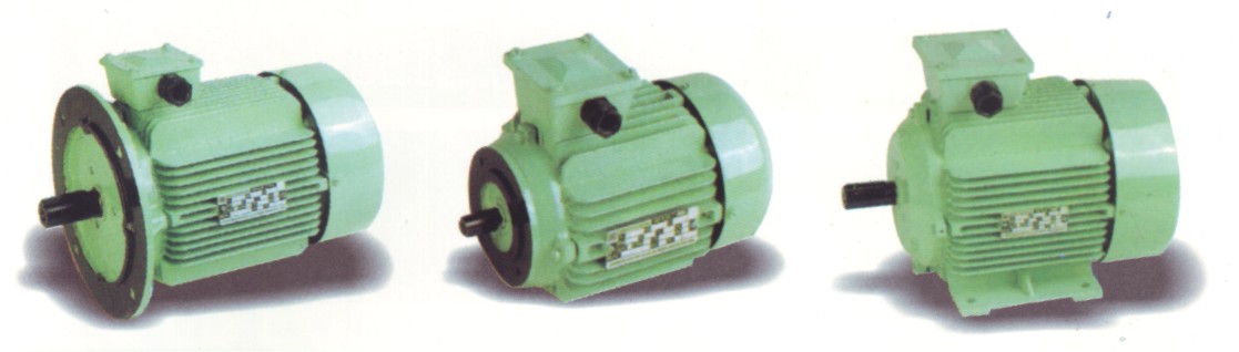 Standard Motors and DC Motors